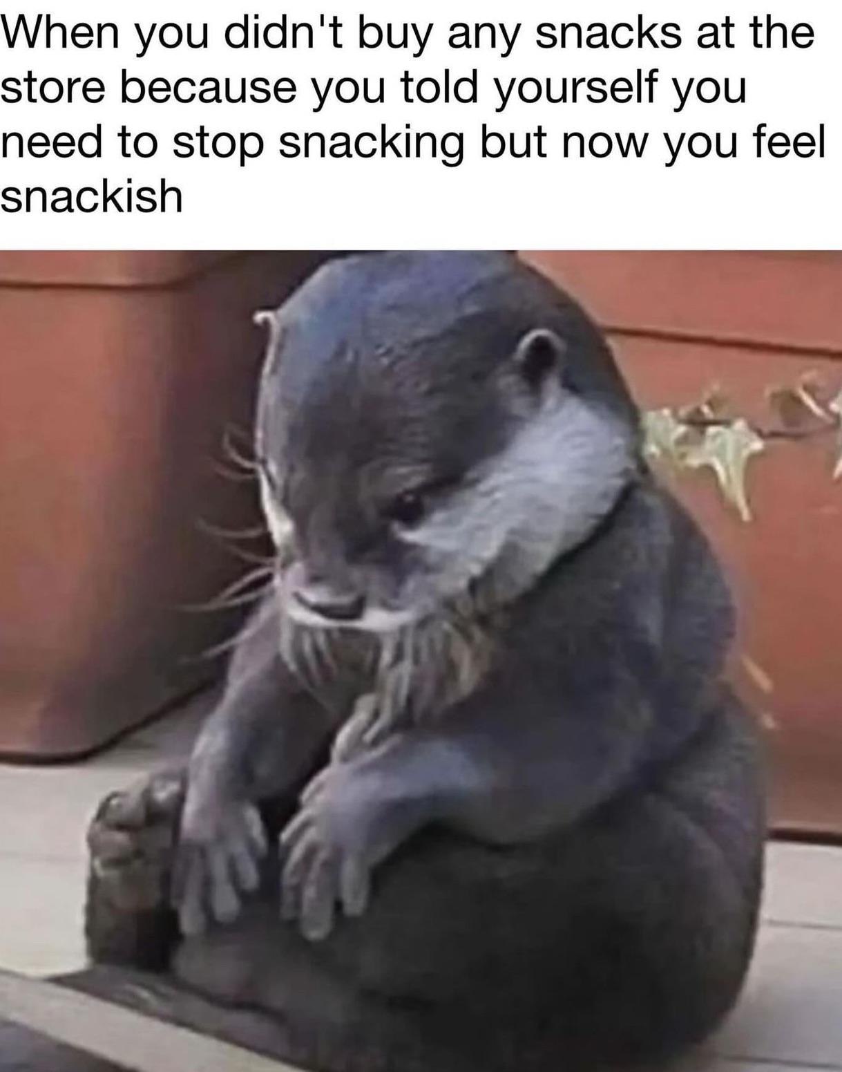 When you didnt buy any snacks When you didnt buy any snacks at the store because you told yourself (Ou